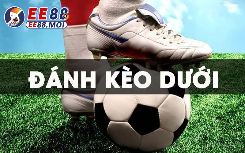 CHIA SẺ CÁCH ĐÁNH KÈO DƯỚI TẠI EE88 HIỆU QUẢ TỪ CÁC CAO THỦ 4 Cách Đánh Kèo Dưới Tại EE88